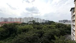 Blk 996A Buangkok Tropica (Hougang), HDB 4 Rooms #592307401